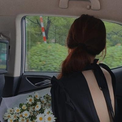 西夏死书